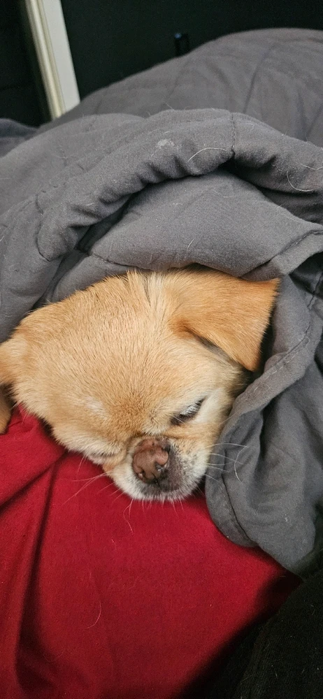 Image uploaded by James