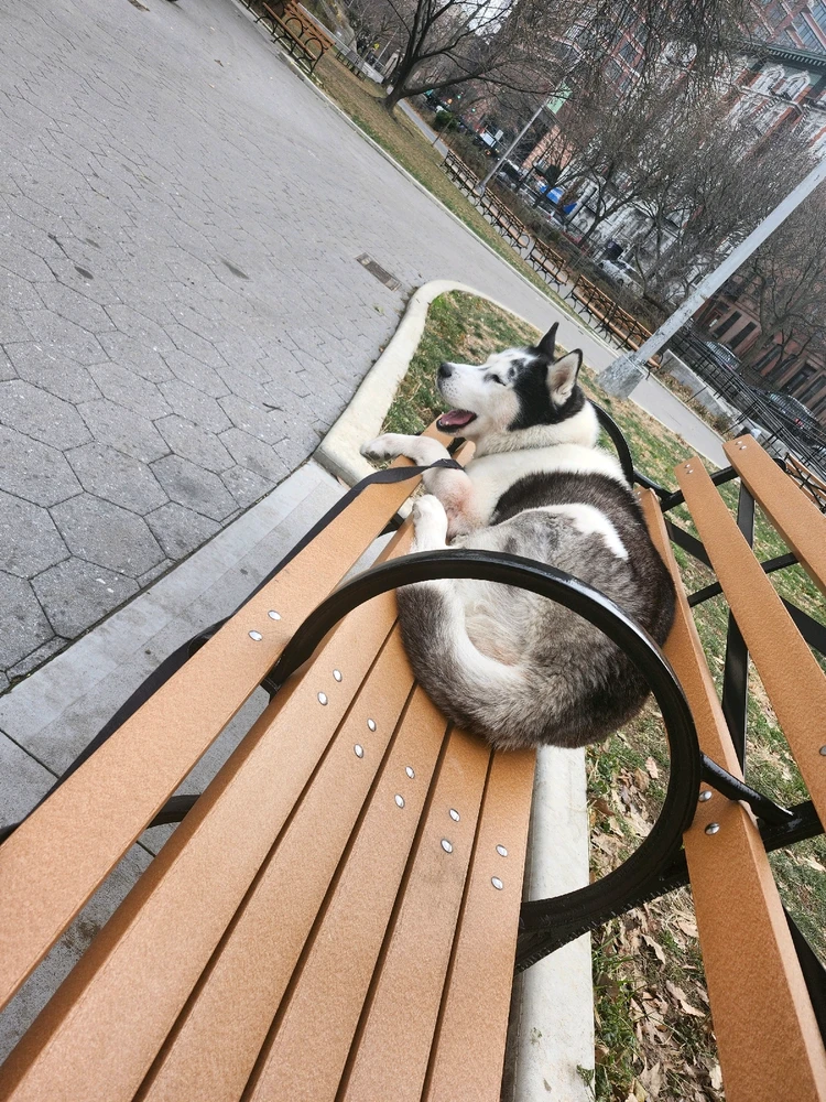 GIF uploaded by Oscar