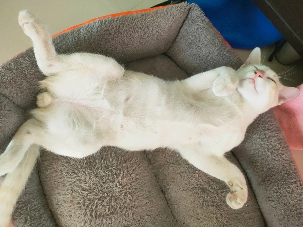 GIF uploaded by Jellyfish