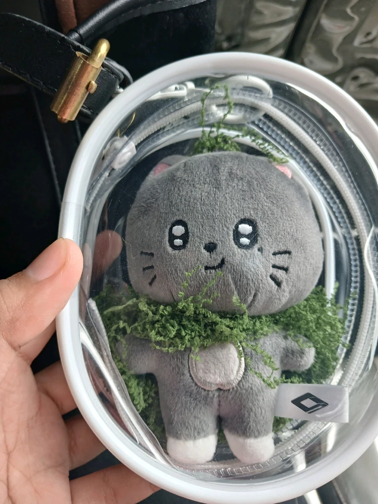 Image uploaded by RJ