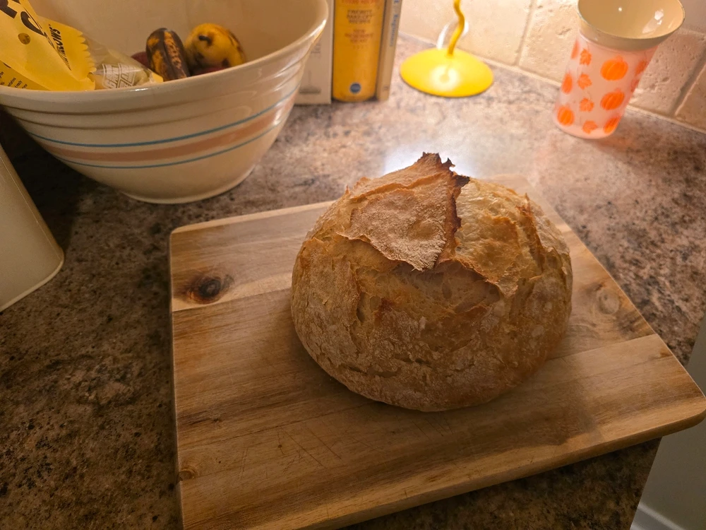 Image uploaded by Kirsten