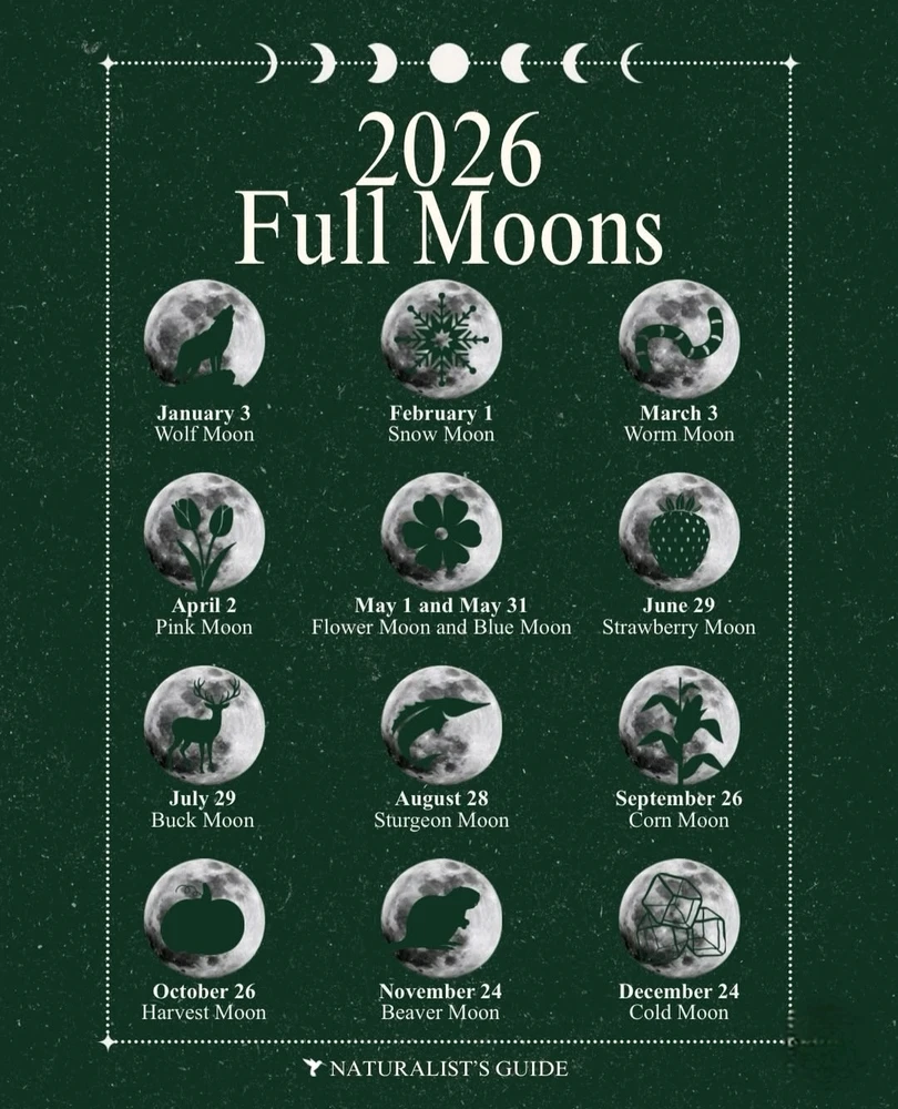 Image uploaded by Jacqueline