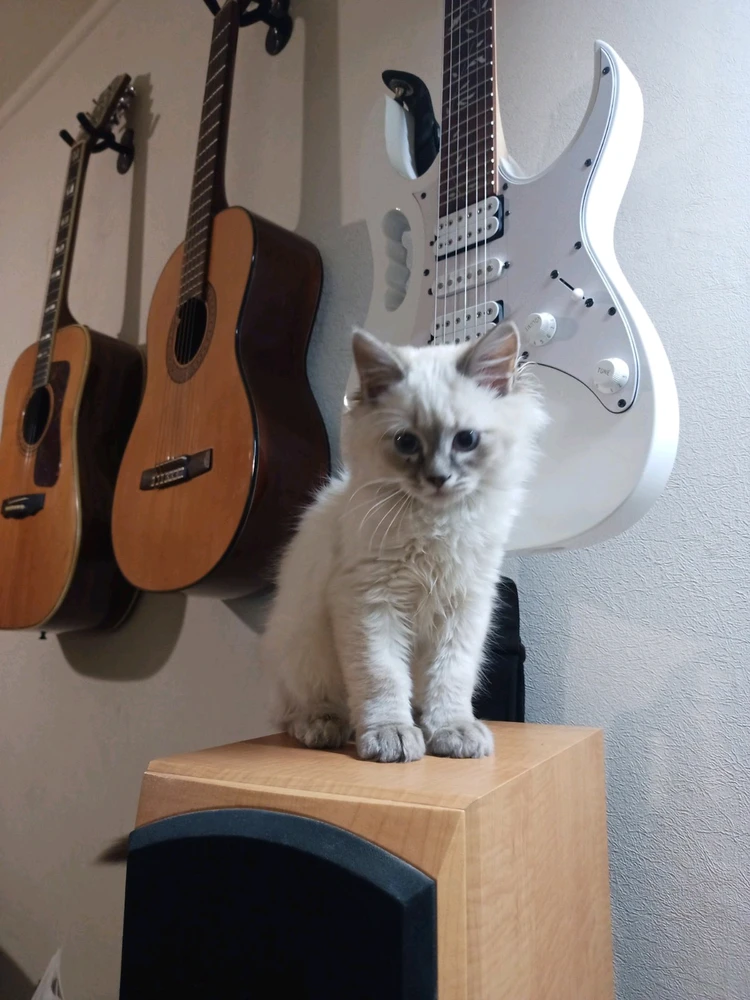 Гіфку завантажив Інна