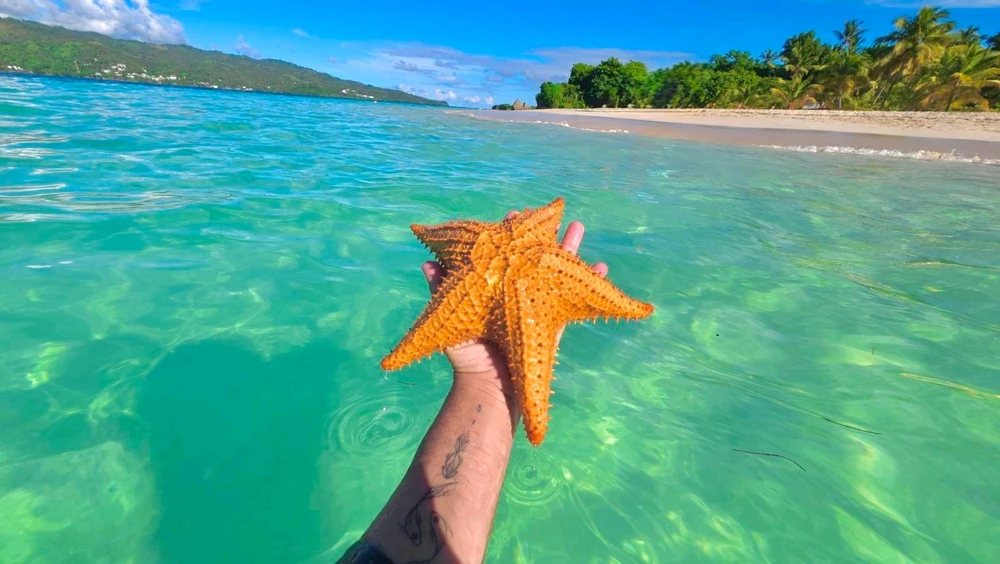 GIF ajouté par Tritri