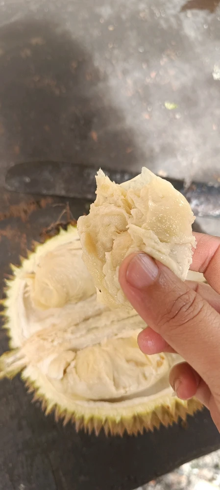 GIF uploaded by Lina Juntak