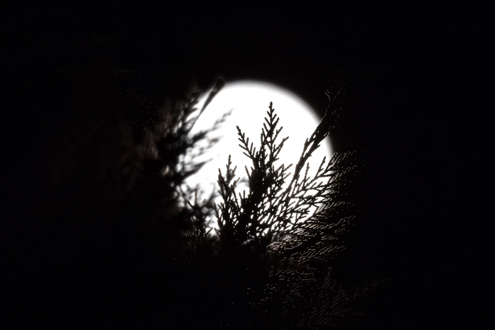 GIF uploaded by Jeremy