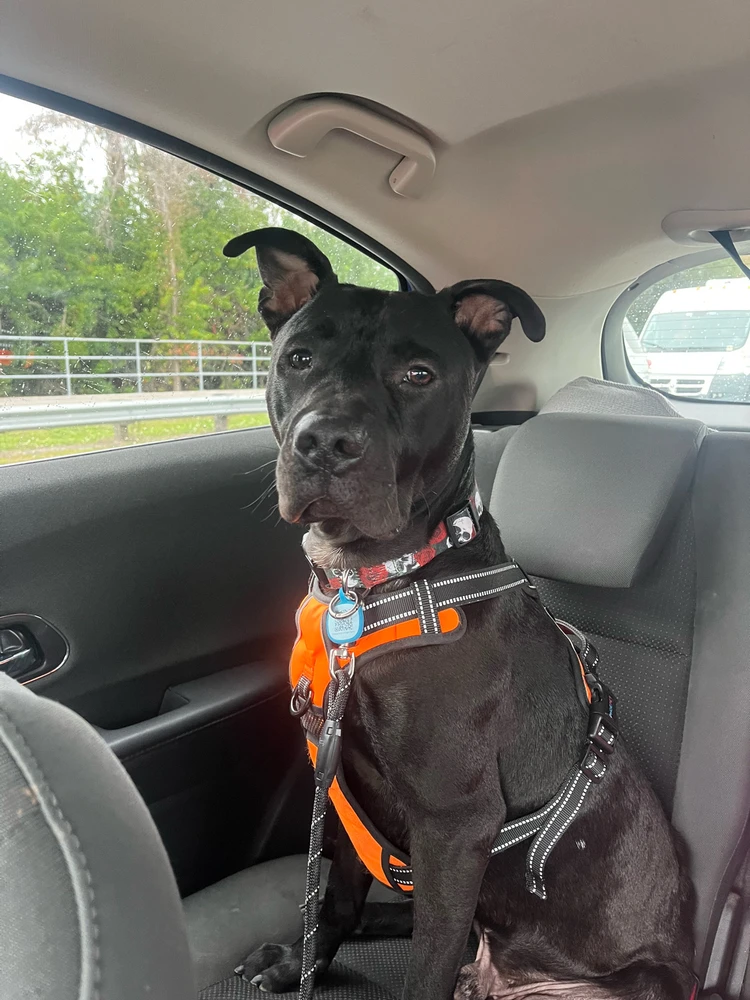 GIF uploaded by Danielle