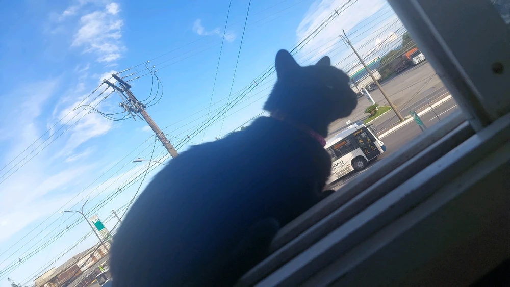 Imagem enviada por Renan