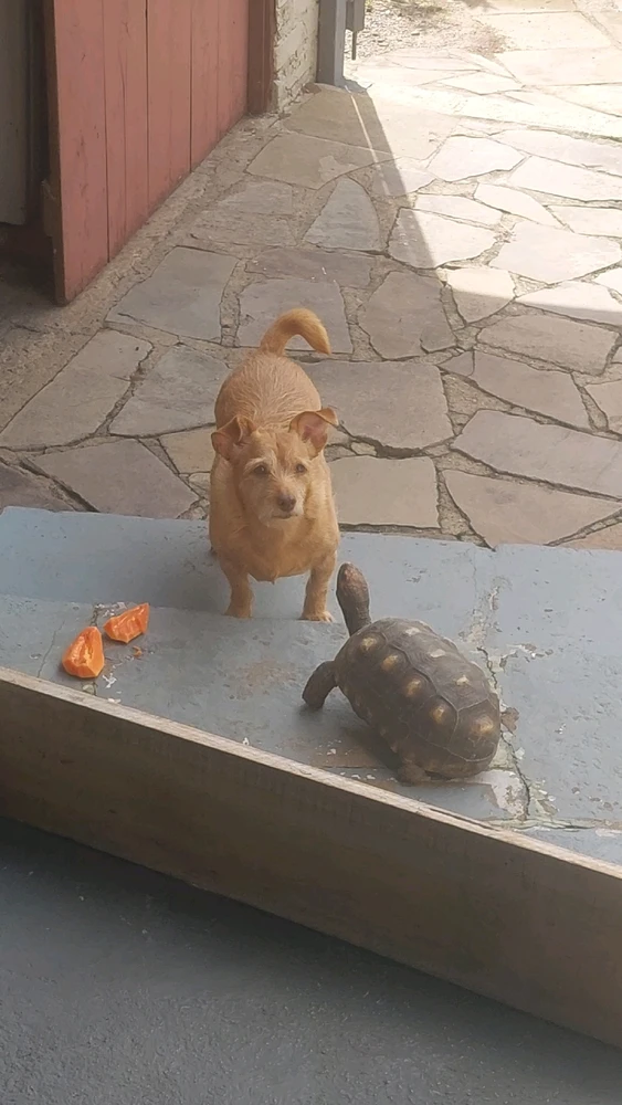 Imagem enviada por Renan