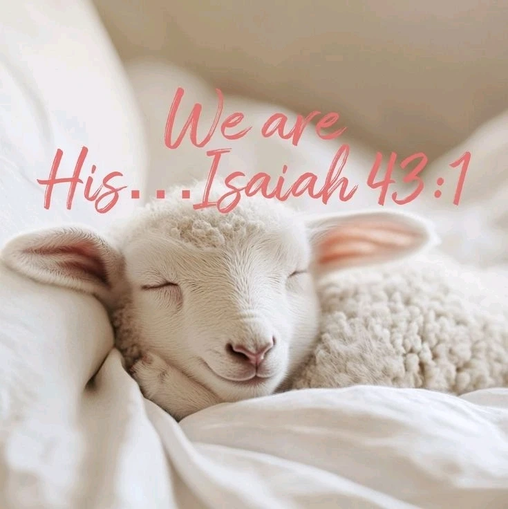 GIF uploaded by Sarah