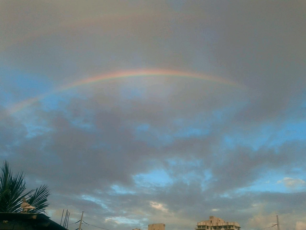 GIF uploaded by Joie