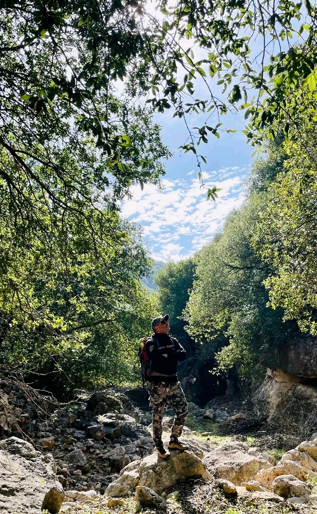 Image uploaded by Medo