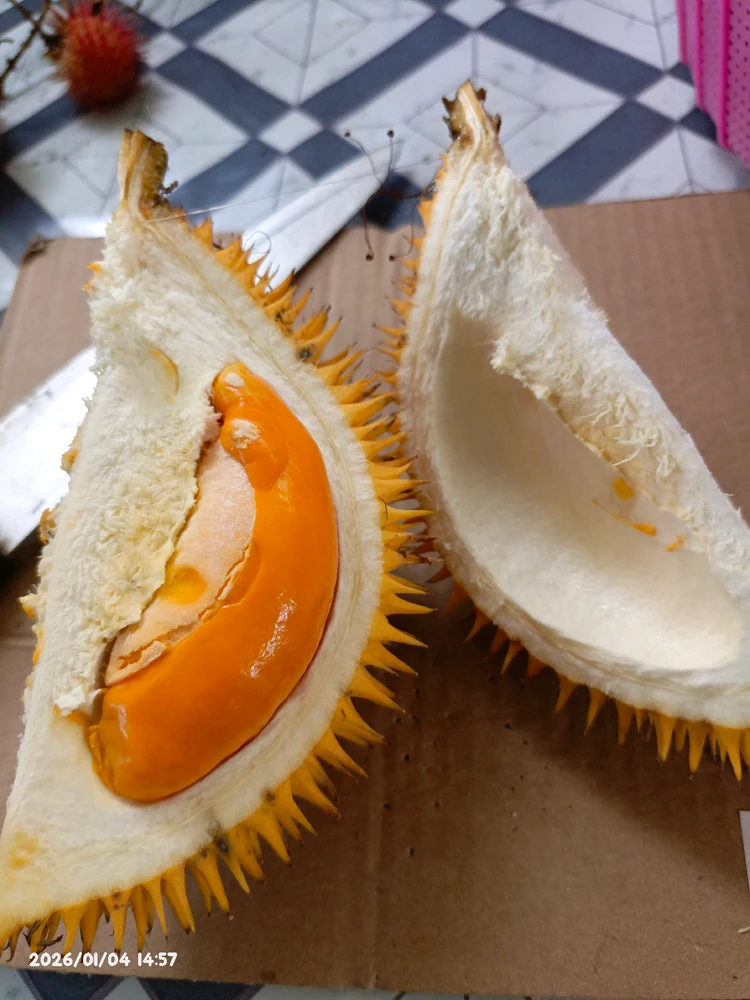 GIF uploaded by Gie L