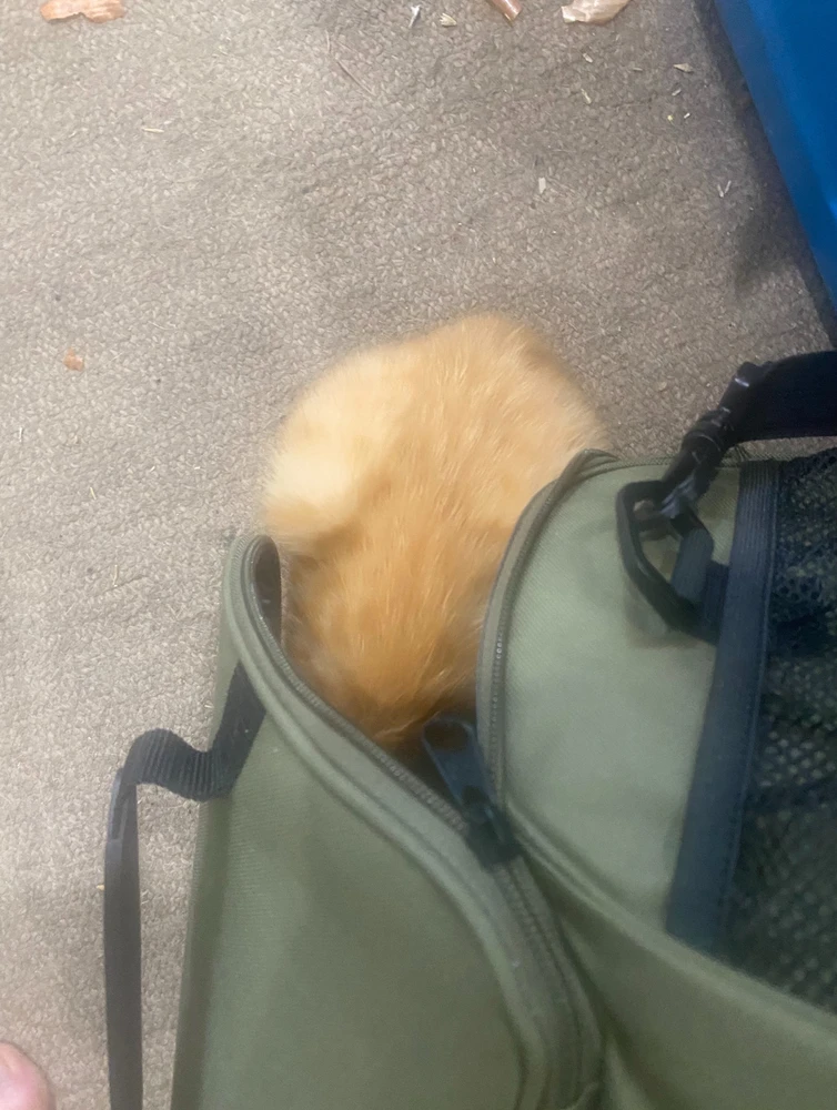 Image uploaded by Barry