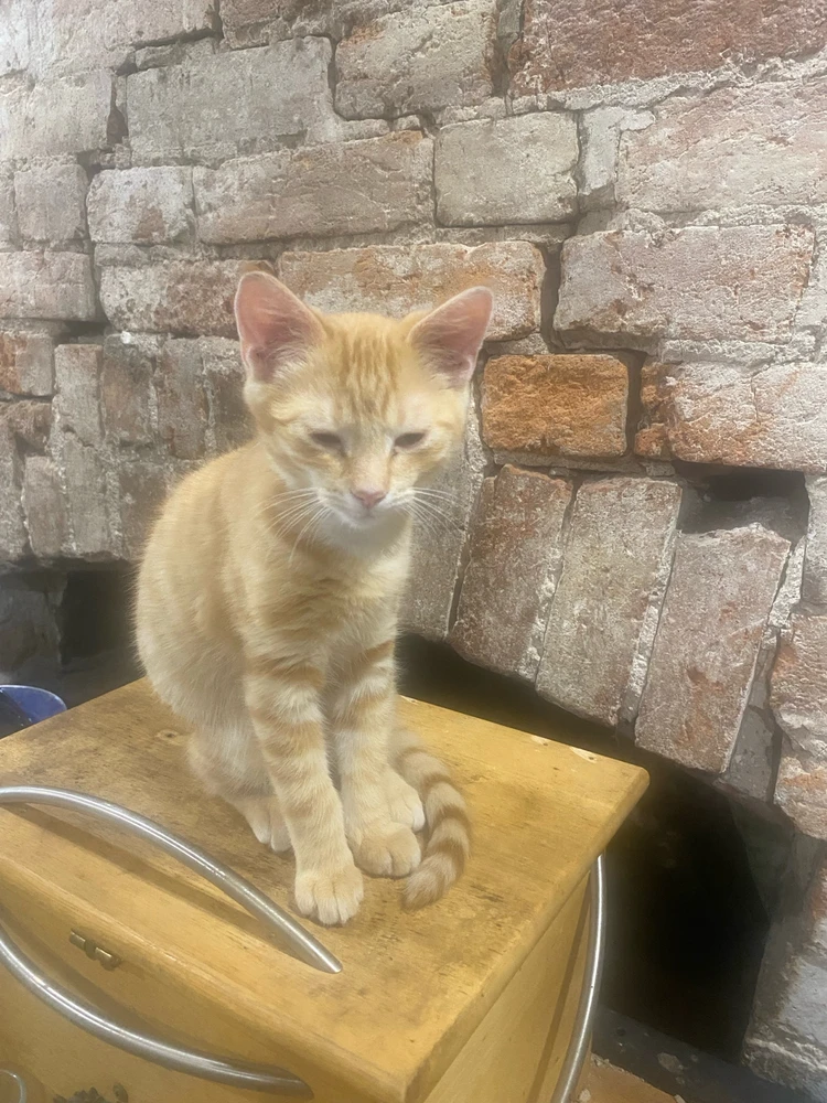 Image uploaded by Barry