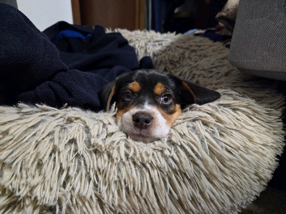 GIF uploaded by Kyler