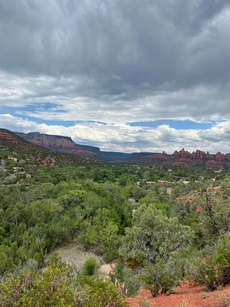 Image uploaded by Sid