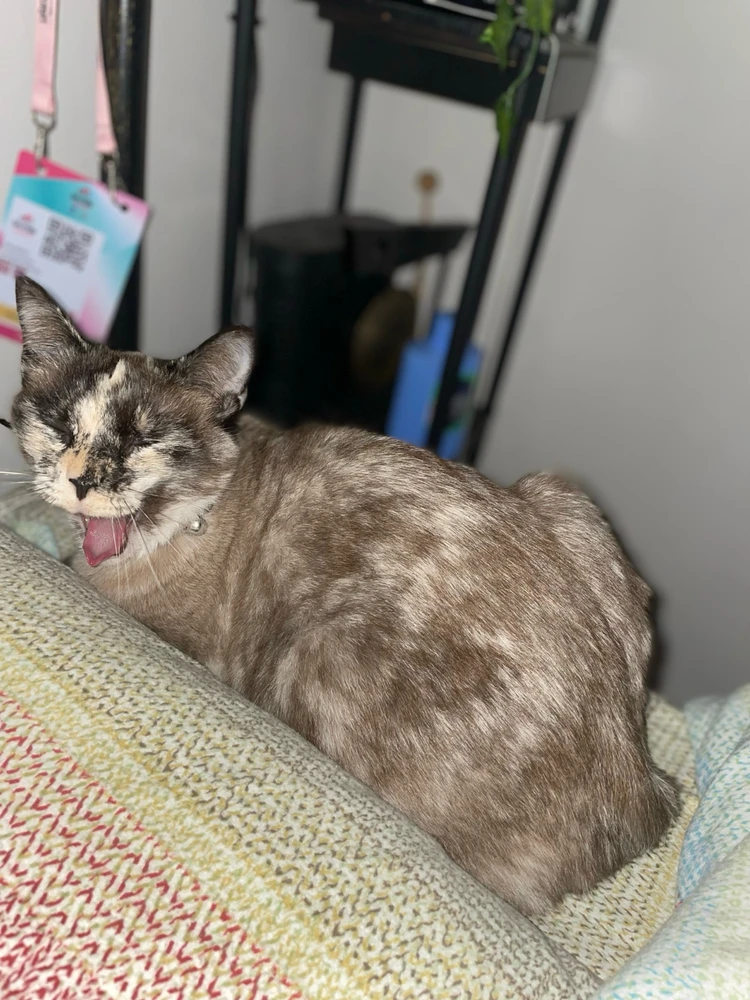 GIF caricata da Alessias