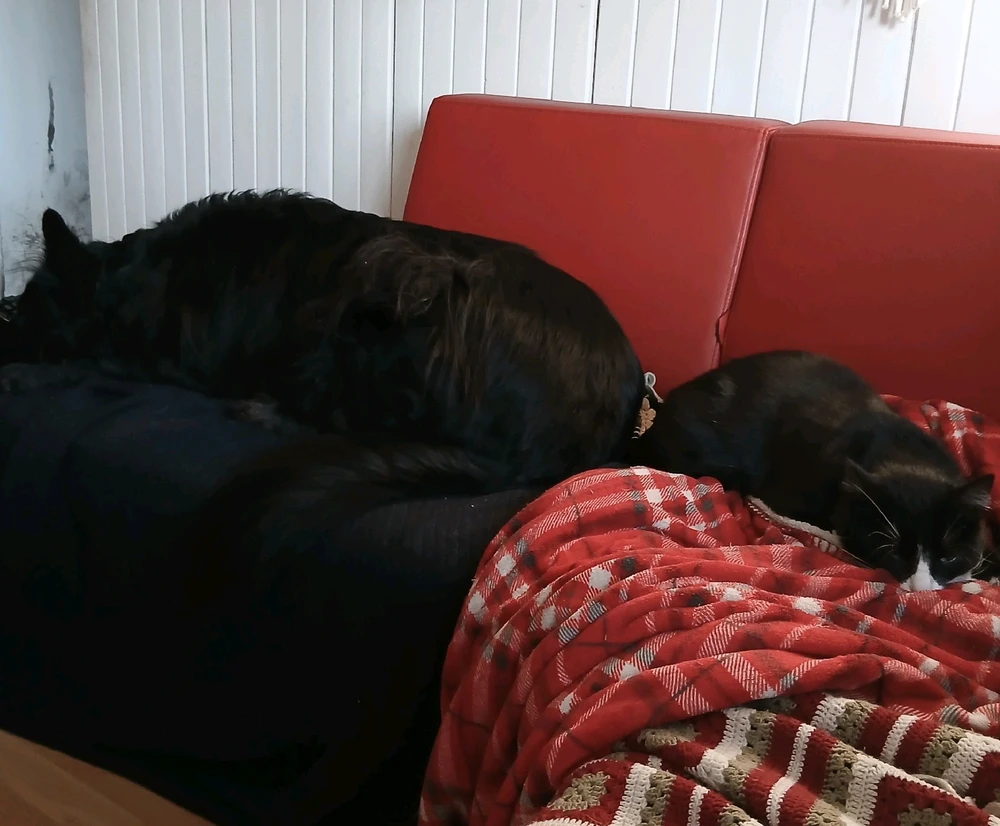 GIF dodany przez Anna