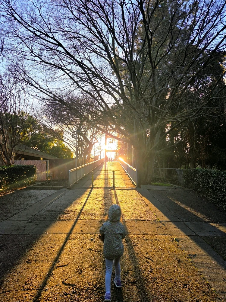 GIF uploaded by Denis