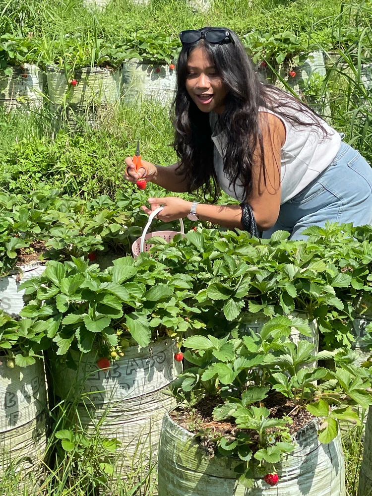 GIF uploaded by Rasman