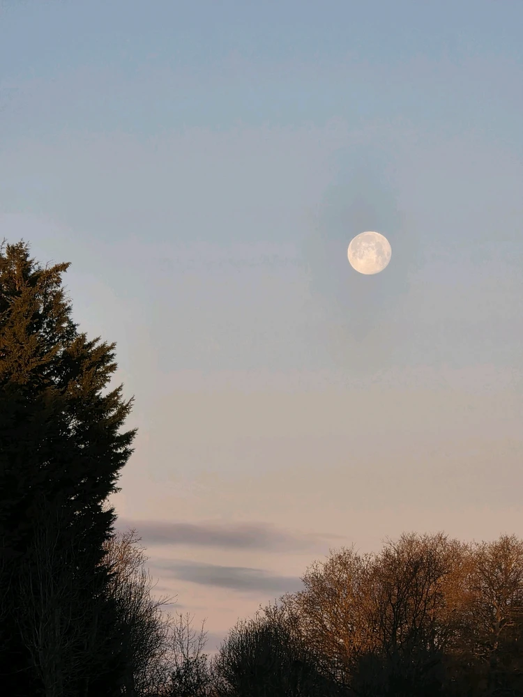 Image uploaded by A༗