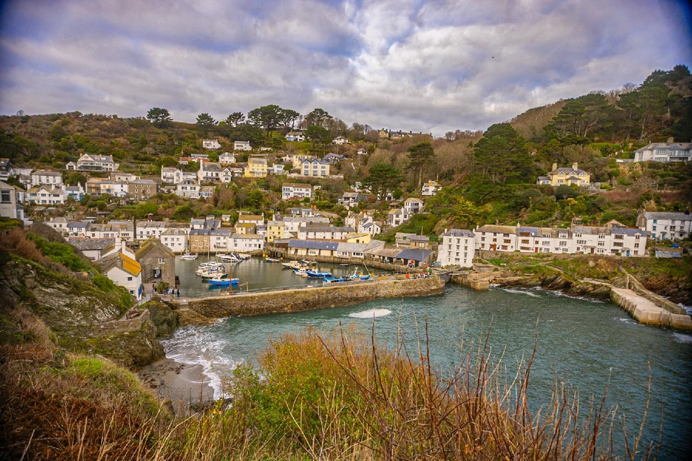 Image uploaded by Andy