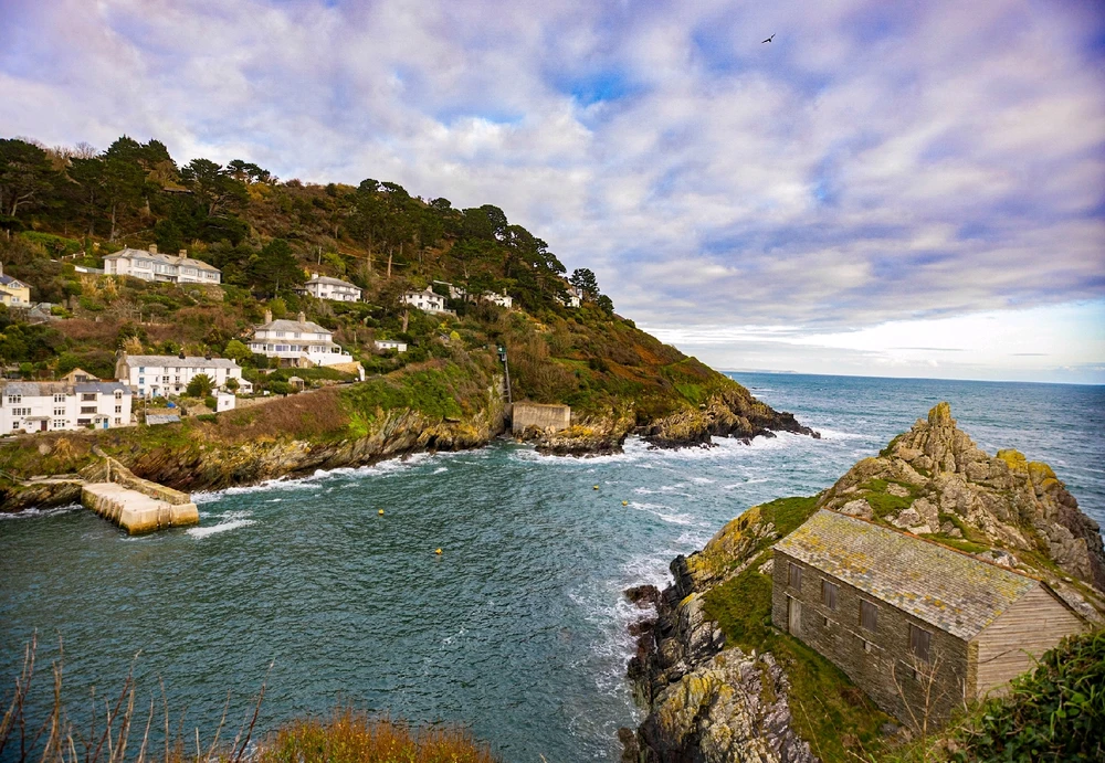 Image uploaded by Andy