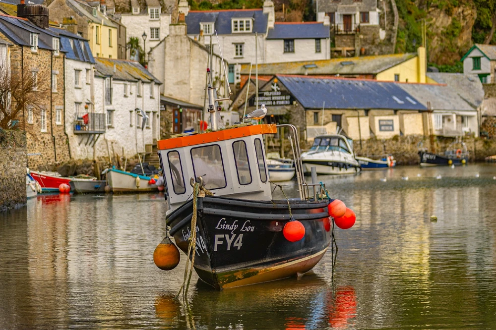 Image uploaded by Andy