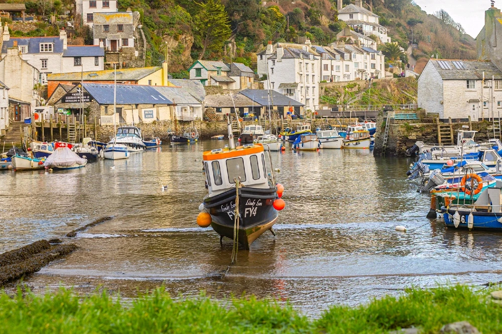 Image uploaded by Andy