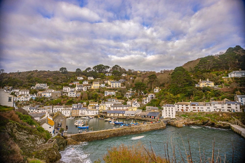 Image uploaded by Andy