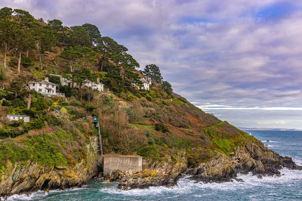 Image uploaded by Andy