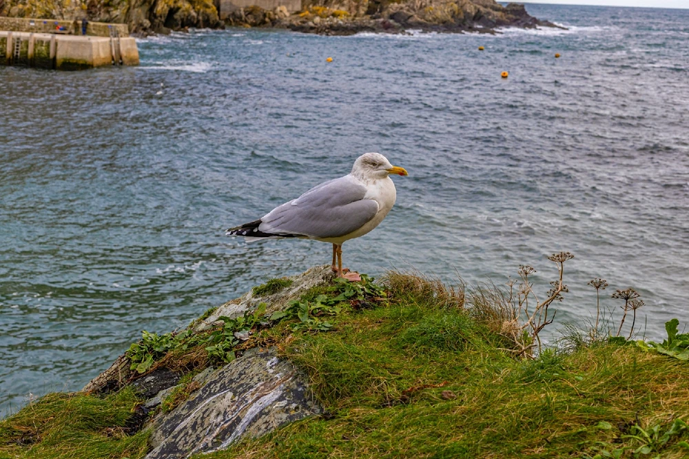 Image uploaded by Andy