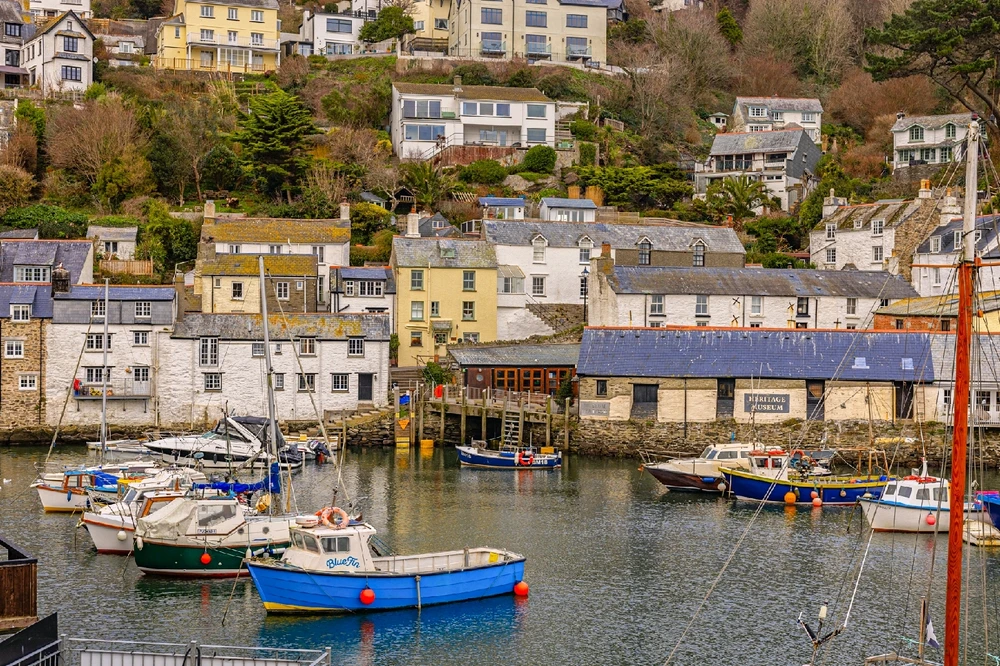 Image uploaded by Andy