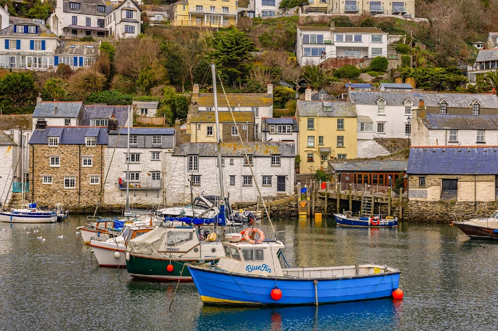 Image uploaded by Andy