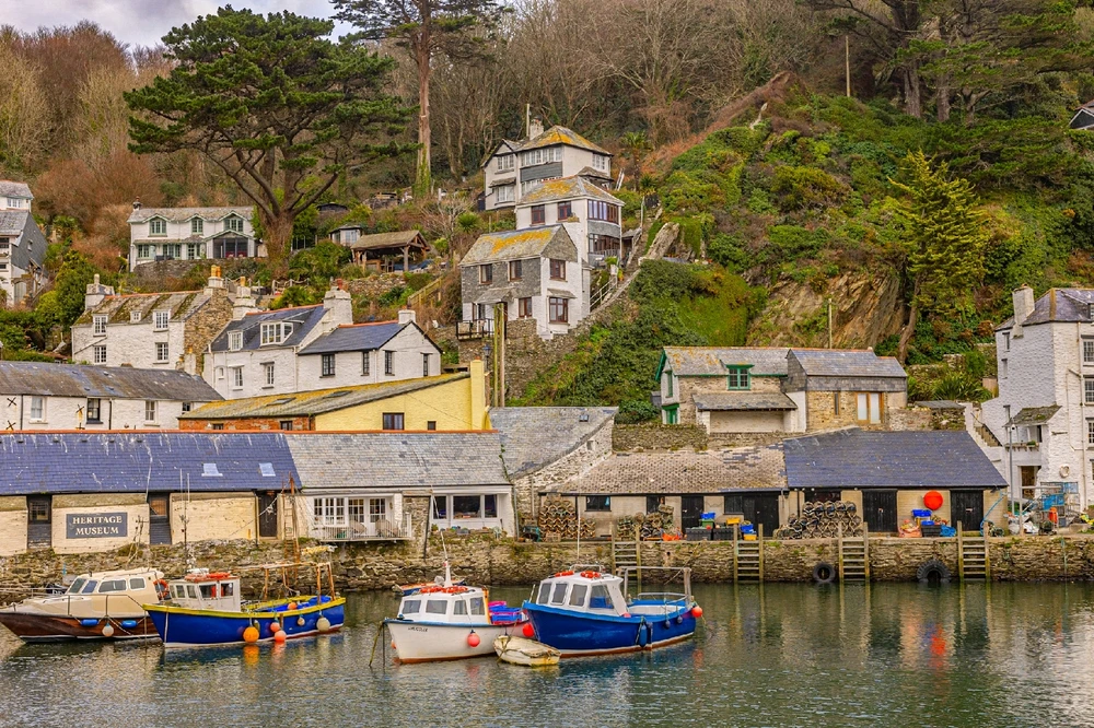 Image uploaded by Andy