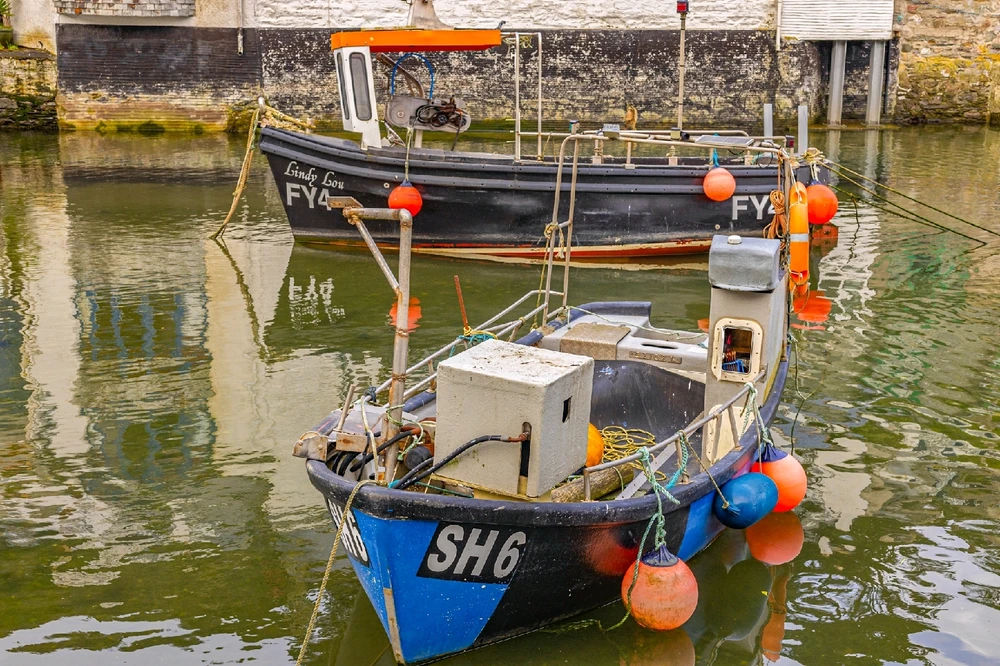 Image uploaded by Andy