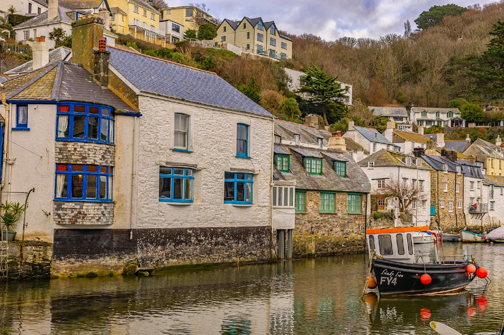 Image uploaded by Andy