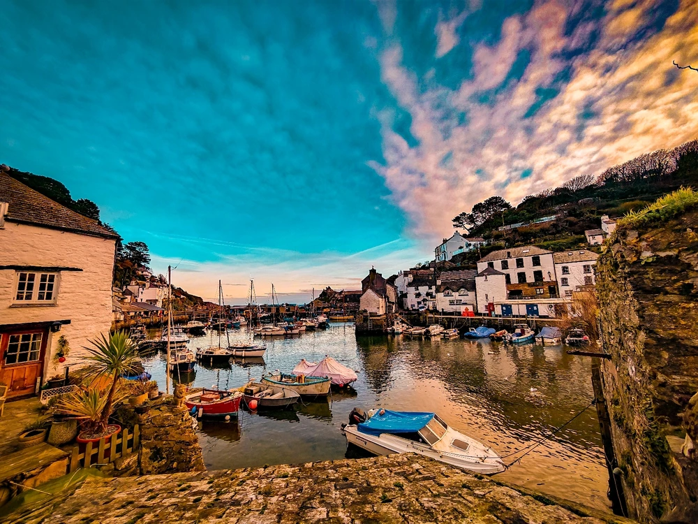 Image uploaded by Andy