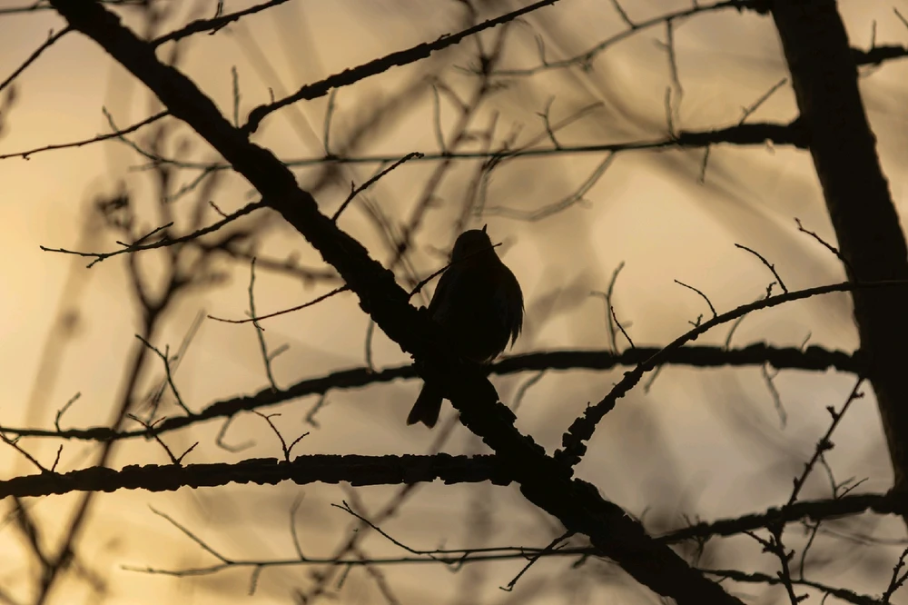 Image uploaded by Andy