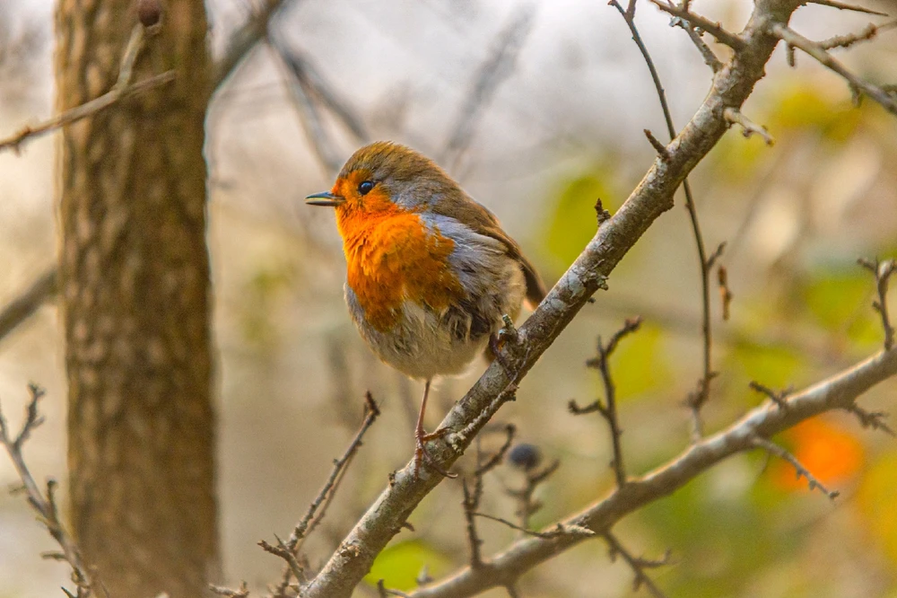 Image uploaded by Andy