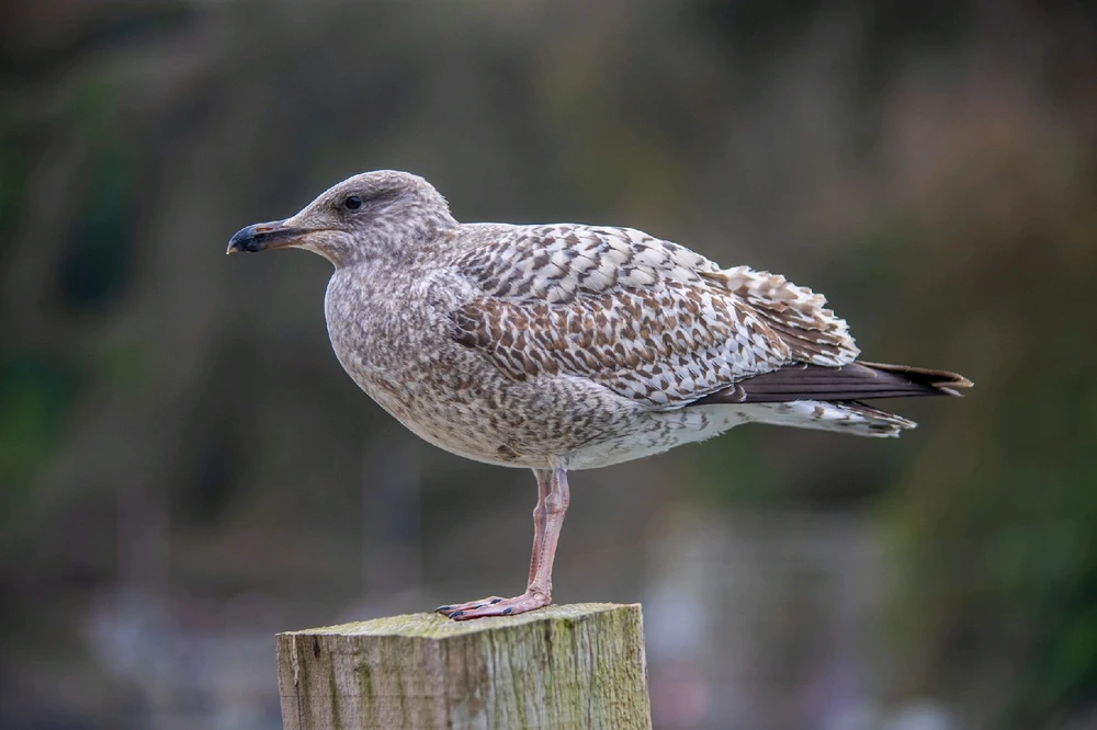 Image uploaded by Andy