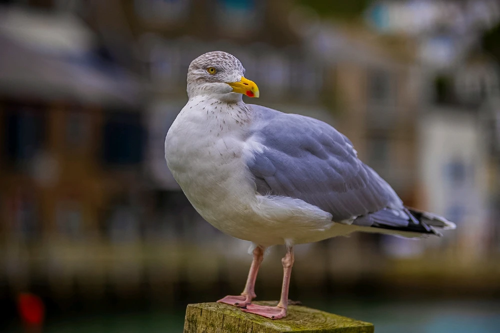 Image uploaded by Andy