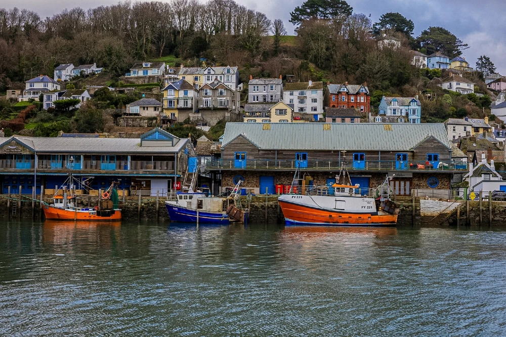 Image uploaded by Andy