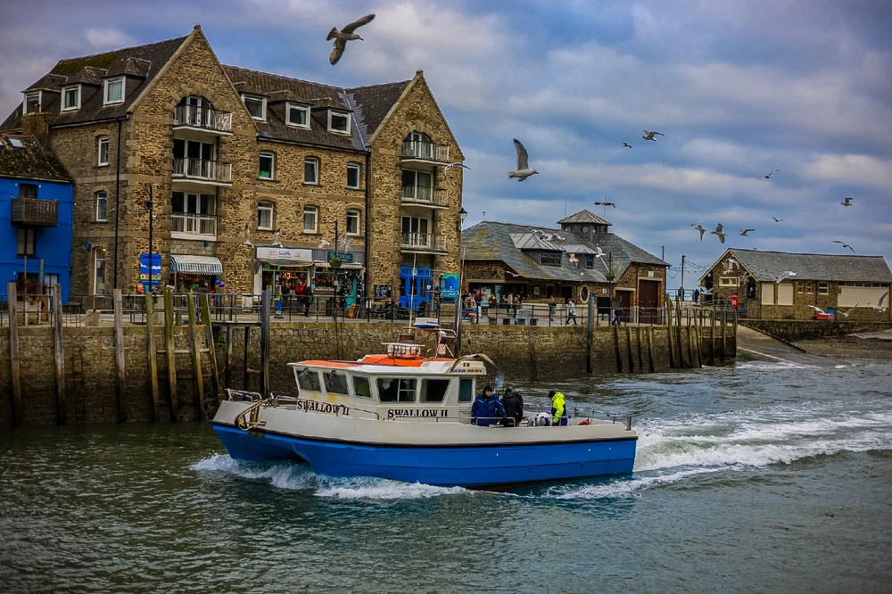 Image uploaded by Andy