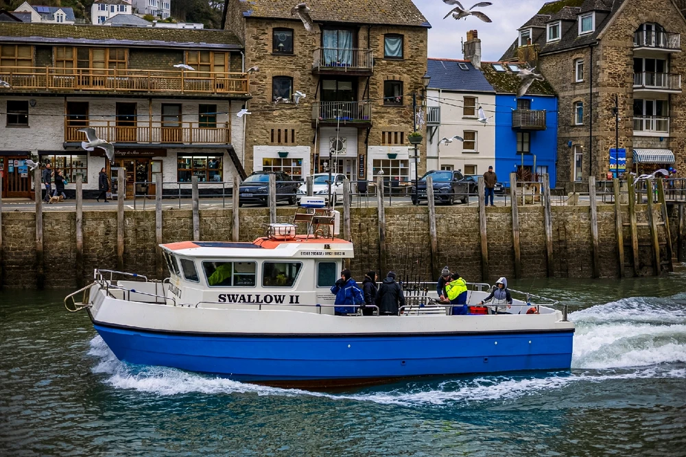 Image uploaded by Andy