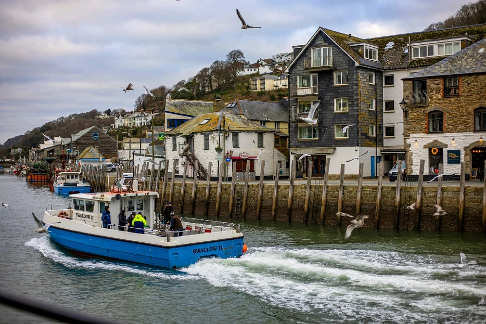 Image uploaded by Andy