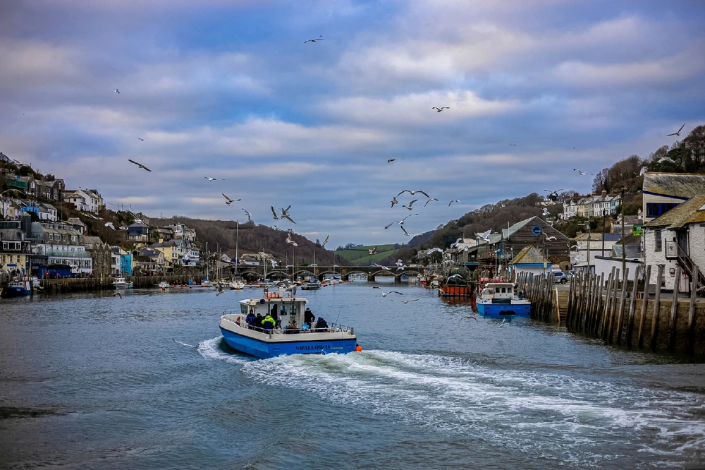 Image uploaded by Andy