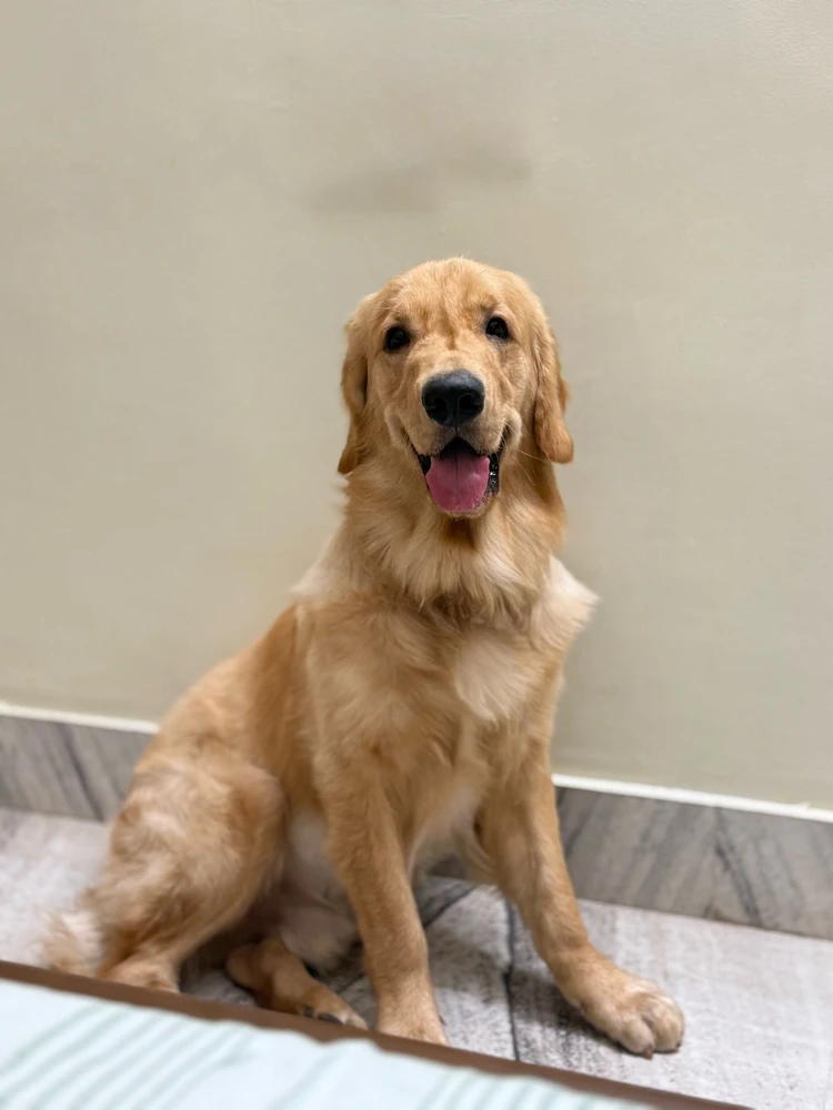 GIF uploaded by Goutham