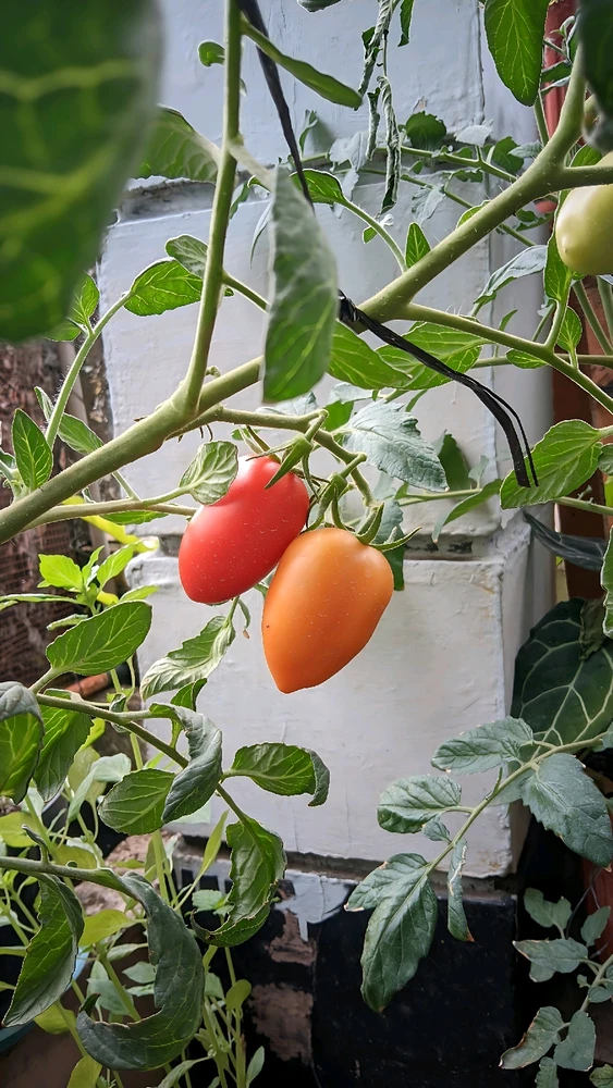 GIF uploaded by April